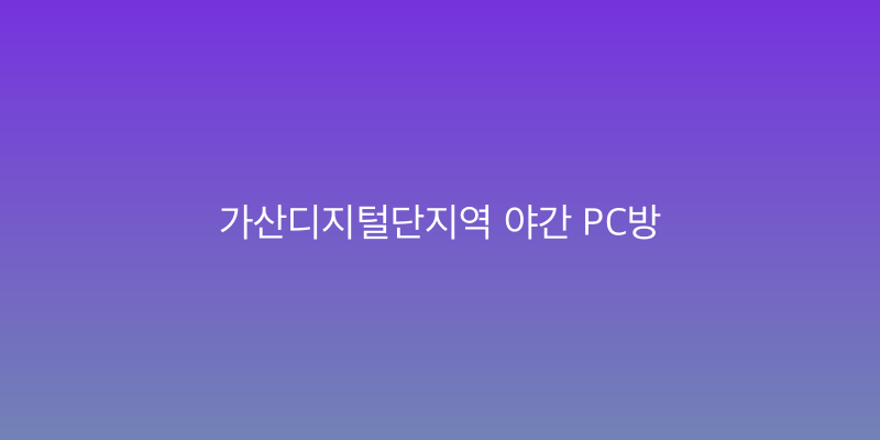 가산디지털단지역 야간 PC방