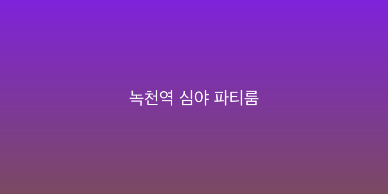 녹천역 심야 파티룸