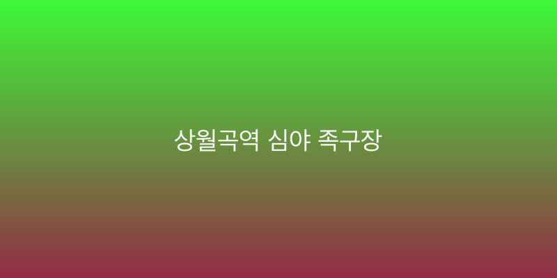 상월곡역 심야 족구장