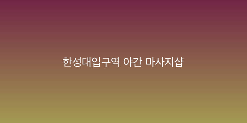 한성대입구역 야간 마사지샵